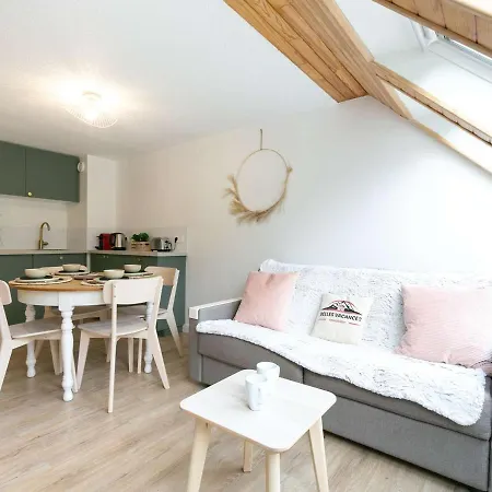 Duplex T2 Renove Pour 4 Personnes A Avec Parking Prive Et Navette Gratuite - Fr-1-296-487 Apartment